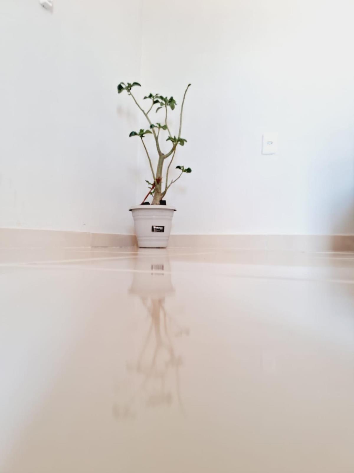 Flat Compacto E Mobiliado Proximo A Rodoviaria Aeroporto Apartment Palmas  Ngoại thất bức ảnh